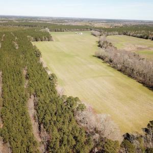 Photo #24 of Off Freeman Mill Rd, Whaleyville, VA 59.0 acres