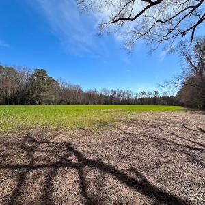 Photo #25 of Off Freeman Mill Rd, Whaleyville, VA 59.0 acres