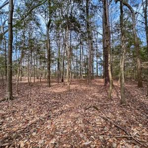 Photo #27 of Off Freeman Mill Rd, Whaleyville, VA 59.0 acres