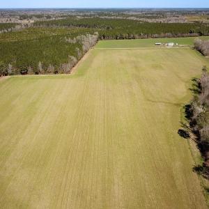 Photo #28 of Off Freeman Mill Rd, Whaleyville, VA 59.0 acres