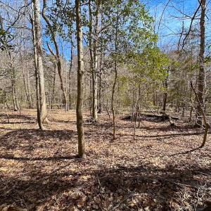 Photo #31 of Off Freeman Mill Rd, Whaleyville, VA 59.0 acres