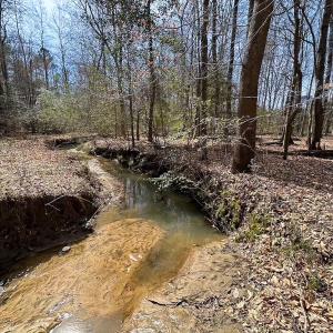 Photo #32 of Off Freeman Mill Rd, Whaleyville, VA 59.0 acres
