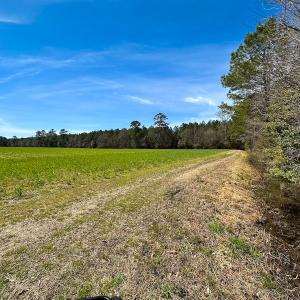 Photo #33 of Off Freeman Mill Rd, Whaleyville, VA 59.0 acres