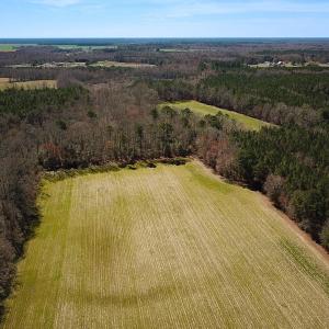 Photo #34 of Off Freeman Mill Rd, Whaleyville, VA 59.0 acres