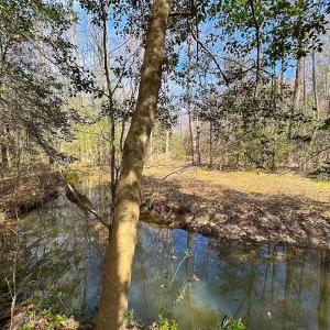 Photo #35 of Off Freeman Mill Rd, Whaleyville, VA 59.0 acres