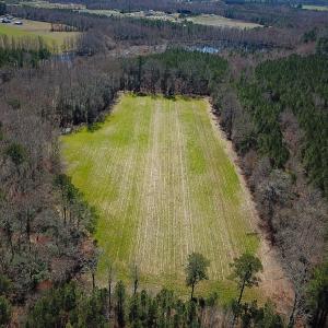 Photo #37 of Off Freeman Mill Rd, Whaleyville, VA 59.0 acres