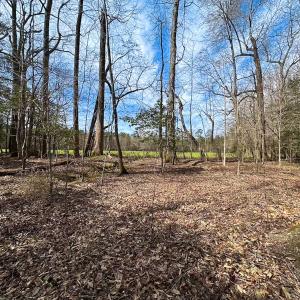 Photo #38 of Off Freeman Mill Rd, Whaleyville, VA 59.0 acres