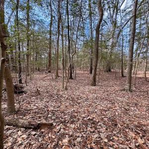 Photo #39 of Off Freeman Mill Rd, Whaleyville, VA 59.0 acres