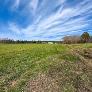 Photo #40 of Off Freeman Mill Rd, Whaleyville, VA 59.0 acres