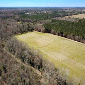 Photo #41 of Off Freeman Mill Rd, Whaleyville, VA 59.0 acres