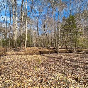 Photo #42 of Off Freeman Mill Rd, Whaleyville, VA 59.0 acres