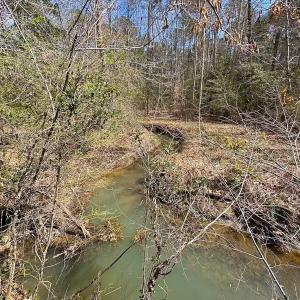 Photo #43 of Off Freeman Mill Rd, Whaleyville, VA 59.0 acres