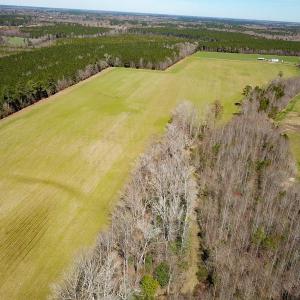 Photo #44 of Off Freeman Mill Rd, Whaleyville, VA 59.0 acres