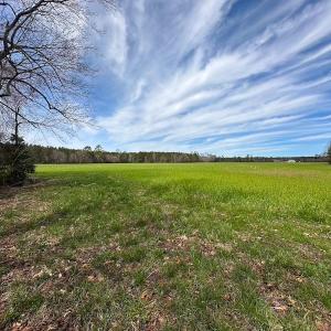 Photo #45 of Off Freeman Mill Rd, Whaleyville, VA 59.0 acres