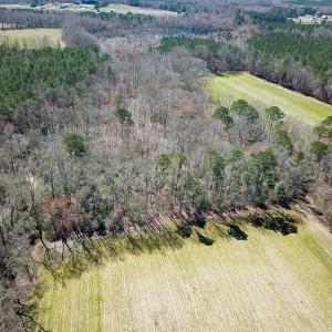 Photo #48 of Off Freeman Mill Rd, Whaleyville, VA 59.0 acres