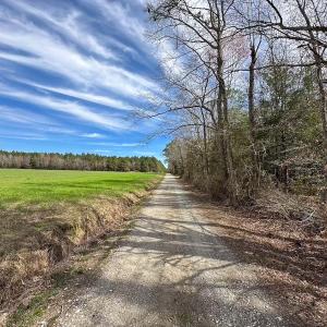 Photo #49 of Off Freeman Mill Rd, Whaleyville, VA 59.0 acres