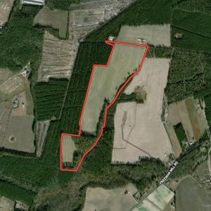 Photo #50 of Off Freeman Mill Rd, Whaleyville, VA 59.0 acres