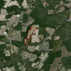 Photo #51 of Off Freeman Mill Rd, Whaleyville, VA 59.0 acres