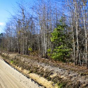 Photo #1 of 6221 Ellwood Rd , Galivants ferry, SC
