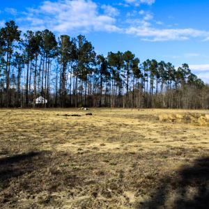 Photo #4 of 6221 Ellwood Rd , Galivants ferry, SC