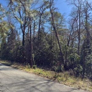 Photo #12 of SOLD property in Off Minturn Avenue, Hamlet , NC 0.8 acres
