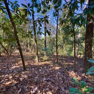 Photo #14 of SOLD property in Off Minturn Avenue, Hamlet , NC 0.8 acres