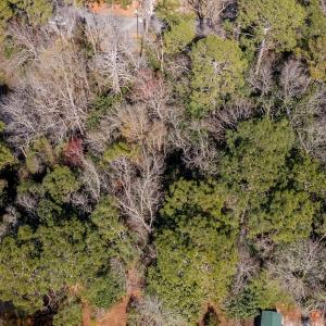 Photo #16 of SOLD property in Off Minturn Avenue, Hamlet , NC 0.8 acres