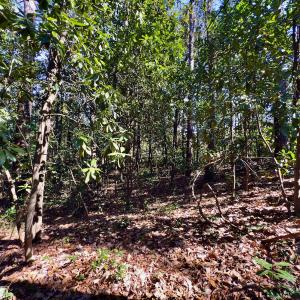 Photo #17 of SOLD property in Off Minturn Avenue, Hamlet , NC 0.8 acres