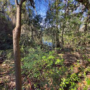 Photo #19 of SOLD property in Off Minturn Avenue, Hamlet , NC 0.8 acres