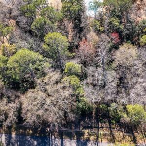 Photo #1 of SOLD property in Off Minturn Avenue, Hamlet , NC 0.8 acres