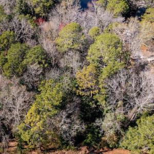 Photo #2 of SOLD property in Off Minturn Avenue, Hamlet , NC 0.8 acres
