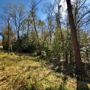Photo #3 of SOLD property in Off Minturn Avenue, Hamlet , NC 0.8 acres