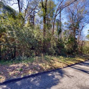Photo #4 of SOLD property in Off Minturn Avenue, Hamlet , NC 0.8 acres
