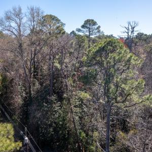 Photo #6 of SOLD property in Off Minturn Avenue, Hamlet , NC 0.8 acres