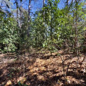 Photo #22 of SOLD property in Off Minturn Avenue, Hamlet , NC 0.8 acres