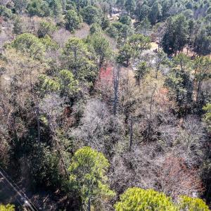 Photo #25 of SOLD property in Off Minturn Avenue, Hamlet , NC 0.8 acres