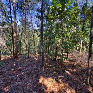 Photo #26 of SOLD property in Off Minturn Avenue, Hamlet , NC 0.8 acres