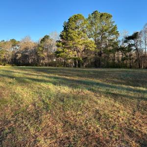 Photo #10 of 1006 Stephenson Road, Benson, NC 7.5 acres
