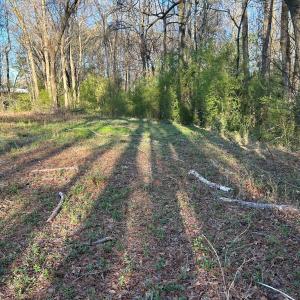 Photo #14 of 1006 Stephenson Road, Benson, NC 7.5 acres