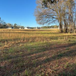 Photo #15 of 1006 Stephenson Road, Benson, NC 7.5 acres