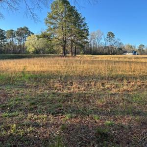 Photo #16 of 1006 Stephenson Road, Benson, NC 7.5 acres