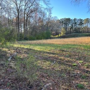 Photo #17 of 1006 Stephenson Road, Benson, NC 7.5 acres