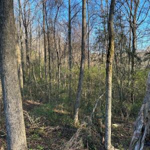 Photo #18 of 1006 Stephenson Road, Benson, NC 7.5 acres