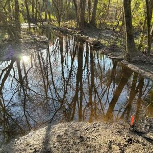 Photo #19 of 1006 Stephenson Road, Benson, NC 7.5 acres