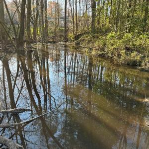 Photo #20 of 1006 Stephenson Road, Benson, NC 7.5 acres
