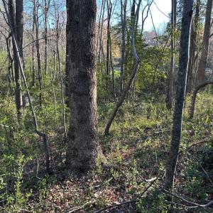 Photo #21 of 1006 Stephenson Road, Benson, NC 7.5 acres