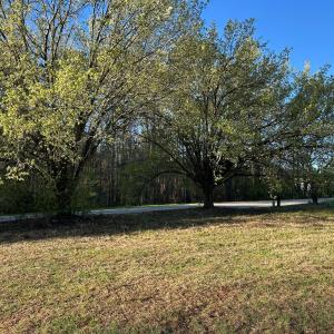 Photo #23 of 1006 Stephenson Road, Benson, NC 7.5 acres