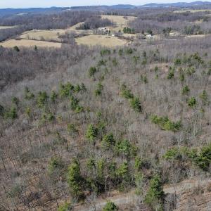 Photo #1 of Off Misty Acres Lane, Meadows of Dan, VA 4.9 acres