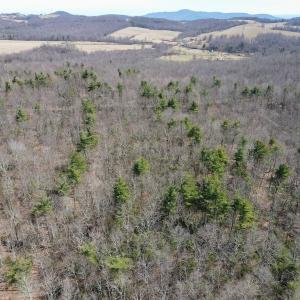 Photo #9 of Off Misty Acres Lane, Meadows of Dan, VA 4.9 acres