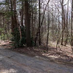 Photo #10 of Off Misty Acres Lane, Meadows of Dan, VA 4.9 acres